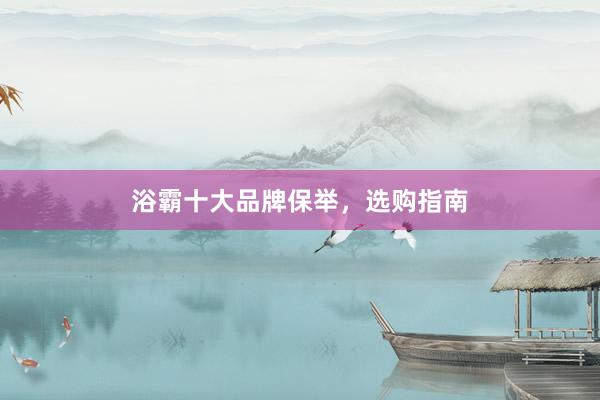浴霸十大品牌保举，选购指南